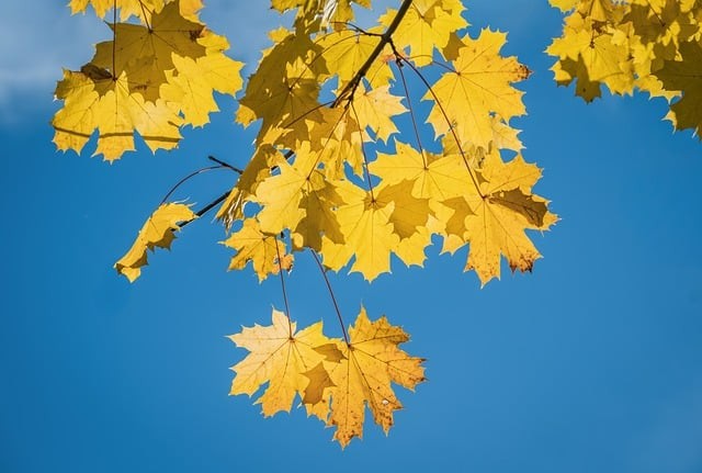 駟馬中學(xué)辦學(xué)條件