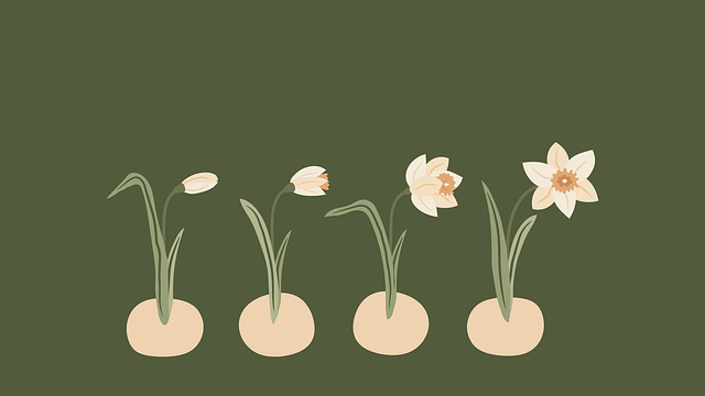 德陽(yáng)啟航單招培訓(xùn)學(xué)校，德陽(yáng)市單招培訓(xùn)學(xué)校