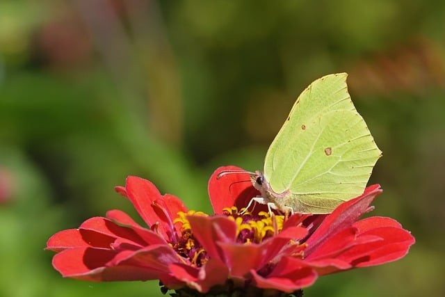 四川單招志愿填報中職