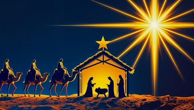 2024四川單招排行榜