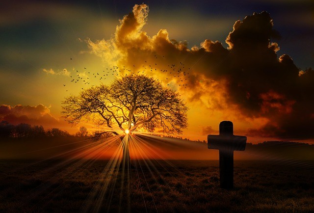 樂(lè)山沙灣職業(yè)高級(jí)中學(xué)2025年招生錄取分?jǐn)?shù)線