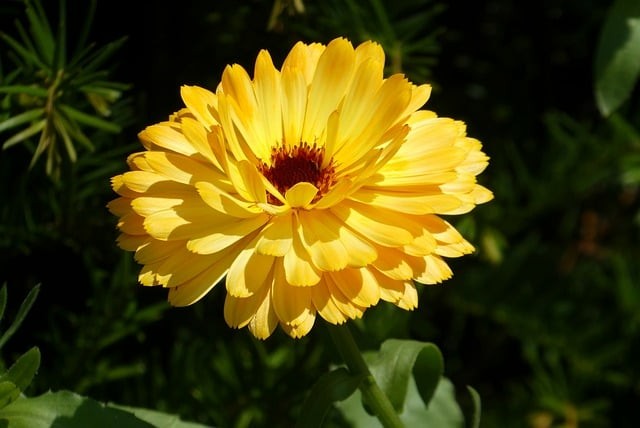 四川省蓬安縣周口中學(xué)校師資團隊