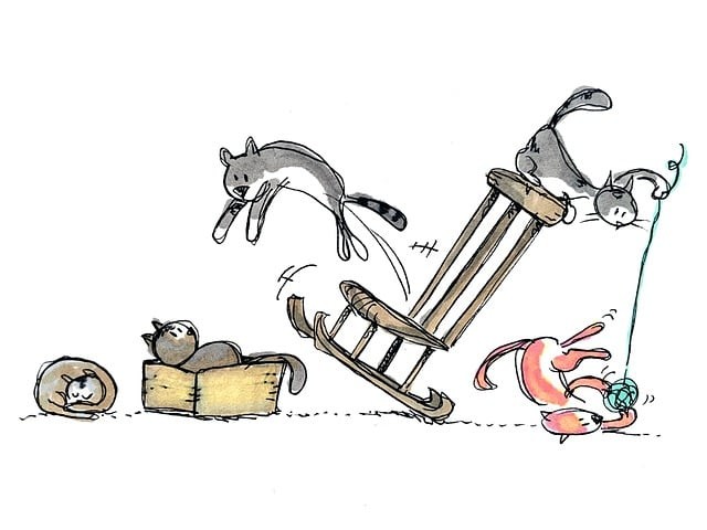 綏陽(yáng)縣中等職業(yè)學(xué)校簡(jiǎn)介，怎么樣，靠譜嗎