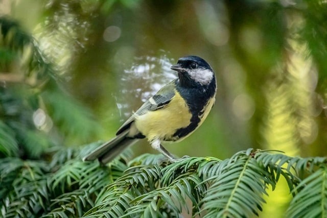 四川單招怎么查詢(xún)地址