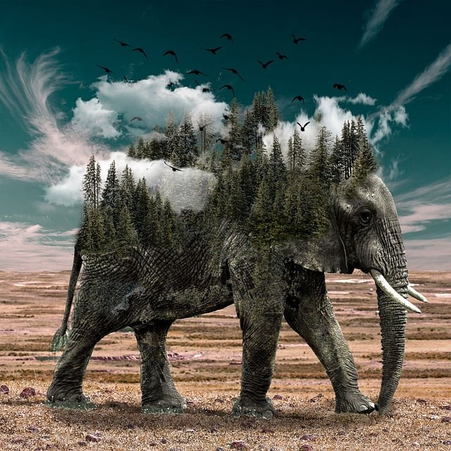 貴州特殊教育中等職業(yè)技術(shù)學(xué)校公辦還是民辦，改不好，怎么樣