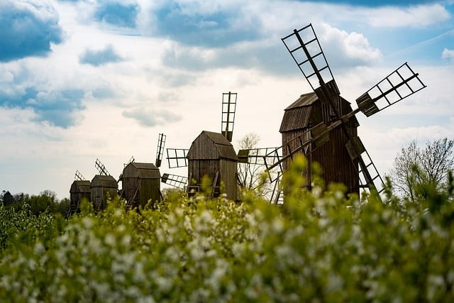 華潤(rùn)初級(jí)中學(xué)高中部2025年體育特長(zhǎng)生招生簡(jiǎn)介