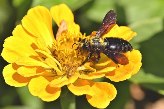 四川單招新疆學(xué)校是哪個