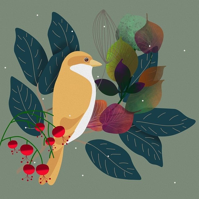 成都簡陽單招培訓機構(gòu)，簡陽市招辦報名點