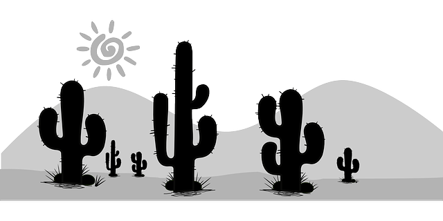 成都首創(chuàng)單招攀枝花，成都首創(chuàng)藝術(shù)學(xué)校官網(wǎng)