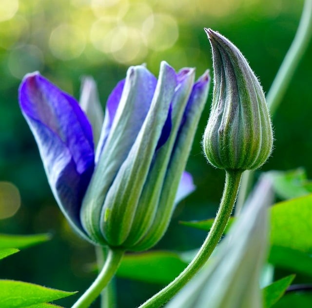 四川單招學(xué)校王老師