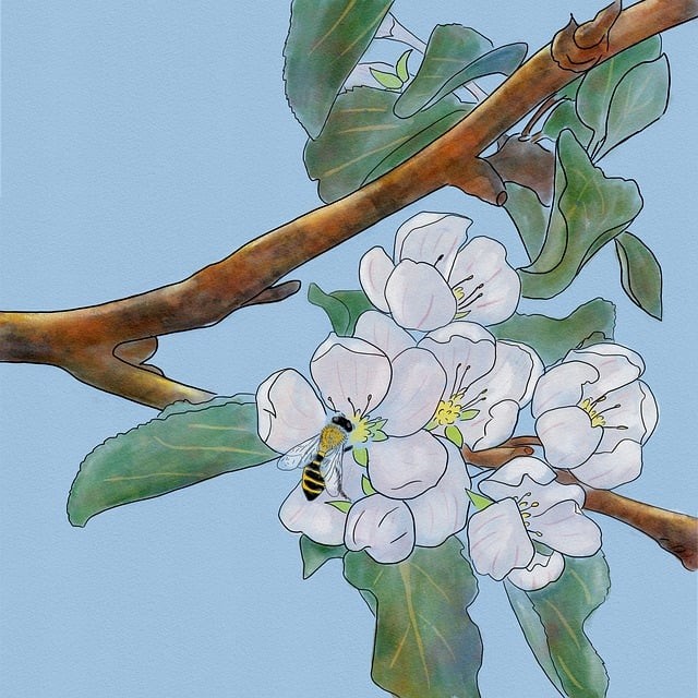 宜賓單招培訓學定，宜賓單招考試報名時間