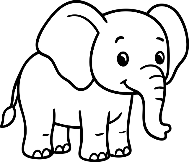 四川單招早讀時(shí)間表