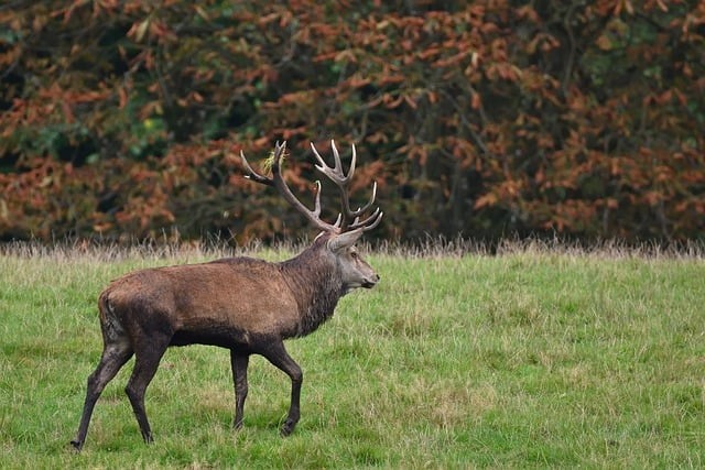 四川單招好公辦多少分 四川單招好公辦多少分