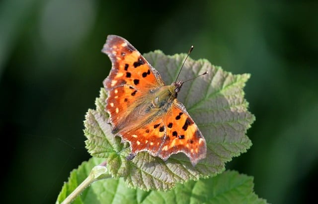 四川單招旅游題講解