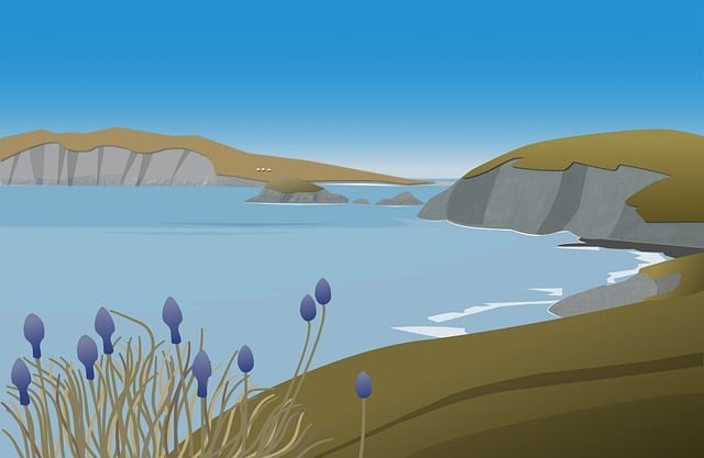 四川省江油市職業(yè)中學(xué)校師資如何