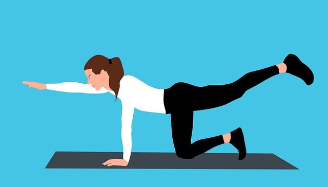 四川樂山單招報名 四川樂山單招報名