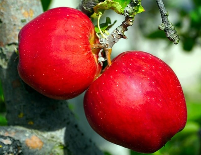 內江市第七中學2024招生簡介