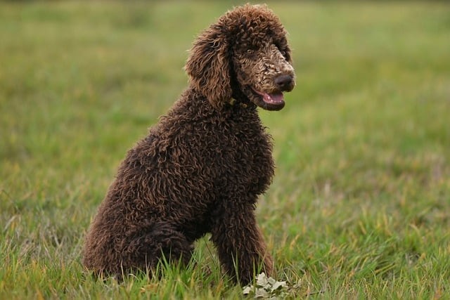 四川單招沒有填志愿