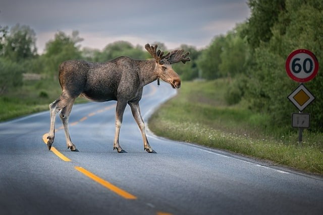 成都市金海洋創(chuàng)意產(chǎn)業(yè)職業(yè)技術(shù)學(xué)校就業(yè)率如何呢
