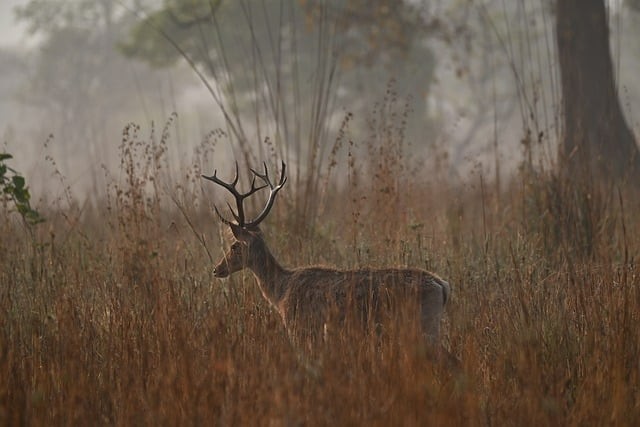 隆昌縣金成職業(yè)學(xué)校2025年錄取分?jǐn)?shù)線