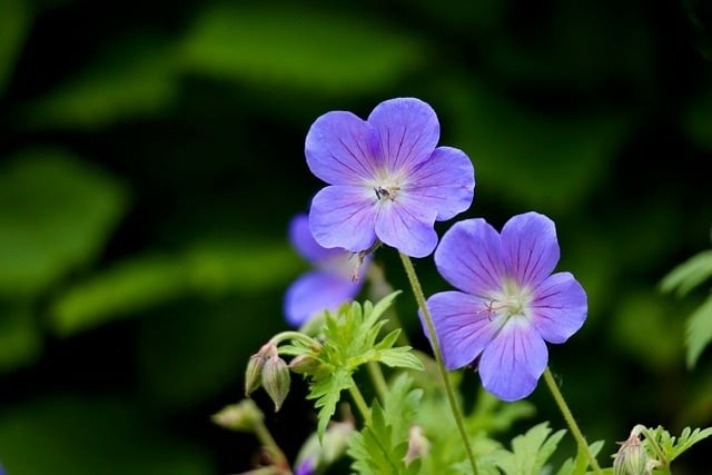 四川單招復(fù)習(xí)資料哪家好 四川單招復(fù)習(xí)資料哪家好