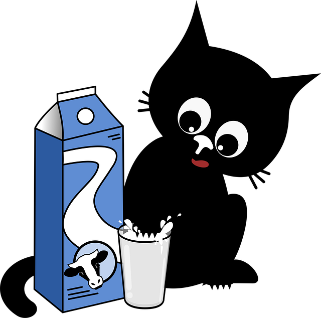 四川單招學(xué)校代碼達(dá)州