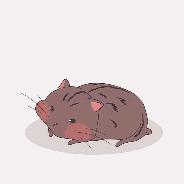 四川單招宜賓蔣老師 四川單招宜賓蔣老師